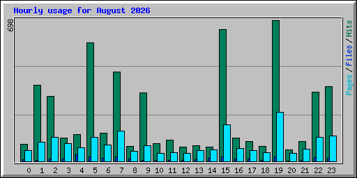 Hourly usage for August 2026